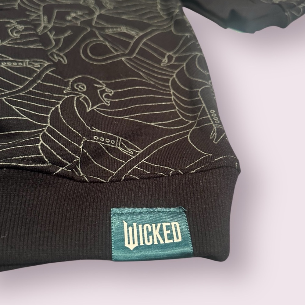 NWT Defy Gravity Wicked Pull Over Black Hoodie Sweatshirt Size XL - Picture 3 of 10
